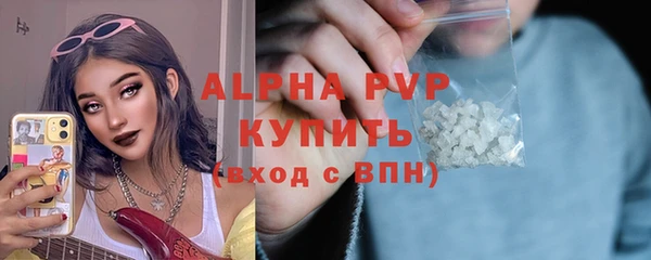 сатива Баксан
